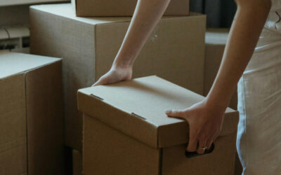 Unsere aktuellen Erhebungen